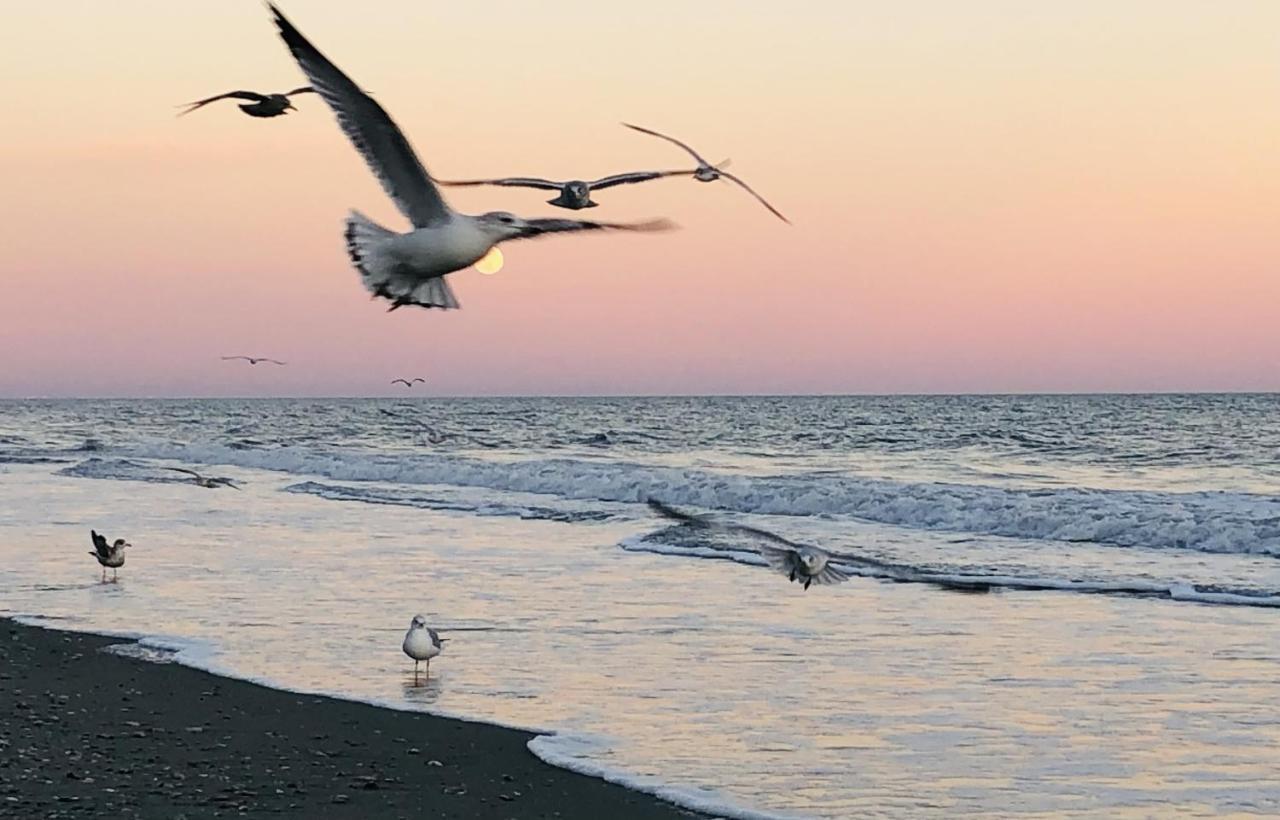 Huge Ocean Front Condo, Amazing Views Myrtle Beach Luaran gambar